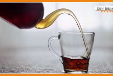 Sorsi di benessere – Infuso di yerba matè? Un drink ideale in estate