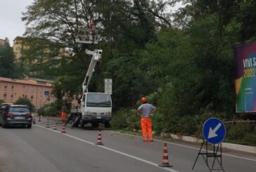 Operai del Comune al lavoro in viale Sardegna
