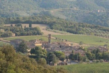 Sparisce a Villa a Sesta un’oliveta specializzata