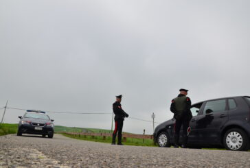 Scoperti dai Carabinieri 5 furbetti del reddito di cittadinanza