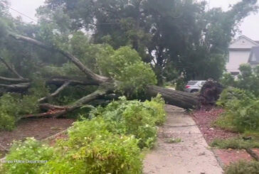 Uragano in Florida, un albero finisce sui cavi della linea elettrica