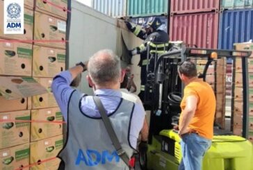 Al porto di Catania sequestrati 110 kg di cocaina per 12 milioni