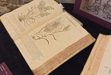 Appuntamento con la Notte degli Archivi alla Biblioteca di Montalcino