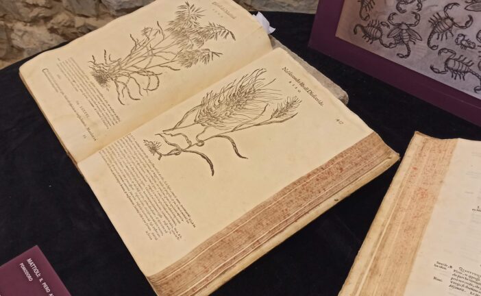Appuntamento con la Notte degli Archivi alla Biblioteca di Montalcino