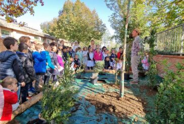 Due boschi didattici nei giardini delle scuole Peruzzi e Tozzi