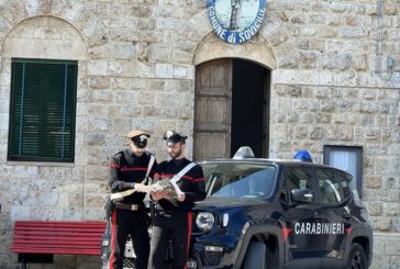 I Carabinieri scovano due furbetti del reddito di cittadinanza