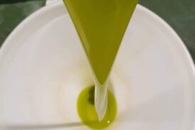 Festa dell’Olio 2025. A San Quirico d’Orcia si celebra la nuova annata