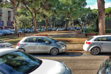 Affidate a un agronomo le analisi sugli alberi di Piazza Amendola e parco Cossetto