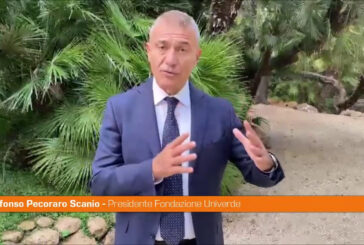 Pecoraro Scanio "Grande assemblea civica ed ecologista con Conte"