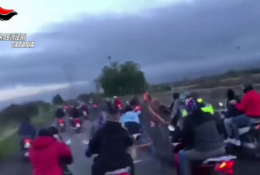 I carabinieri bloccano una corsa clandestina di cavalli nel catanese