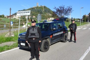 Pellet in offerta su un sito fake: 3 persone denunciate dai Carabinieri