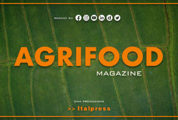 Agrifood Magazine – 23/11/2022
