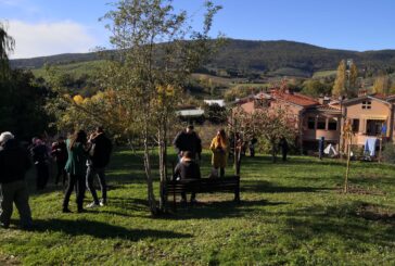 San Gimignano, nel parco pubblico 60 nuovi alberi da frutto