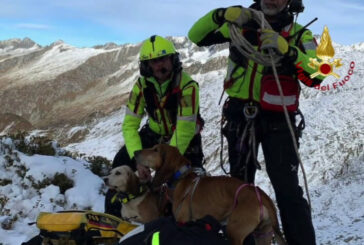Salvati due cani in difficoltà in alta quota nel bresciano