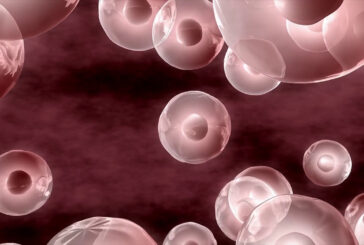Cellule tumorali in 3d senza coloranti chimici