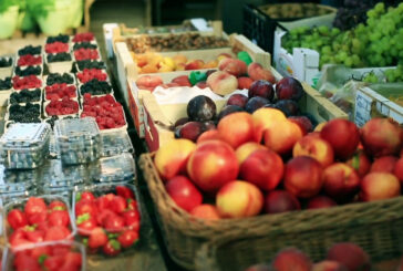 Agroalimentare, il Pil continua a crescere
