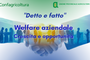 Upa organizza “Detto e fatto”, welfare aziendale, crescita e opportunità