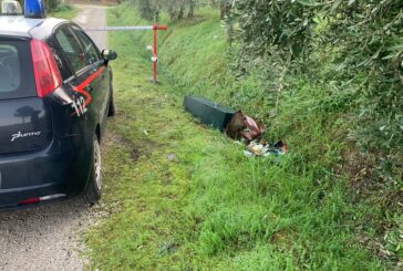Rinvenute dai Carabinieri armi rubate a Certaldo
