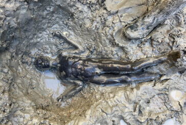 I bronzi di San Casciano in mostra al Quirinale