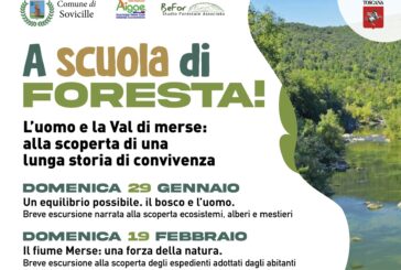 A Sovicille escursioni narrate  per ragazzi: è “A scuola di foresta!”