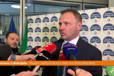 Lollobrigida "Non ci sono tensioni particolari nella maggioranza"