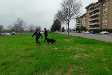Cani avvelenati a Firenze, bonifica dell'unità cinofila