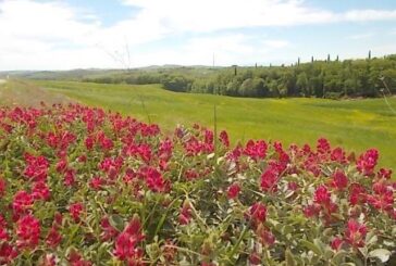 San Piero in Barca: una bellezza da preservare