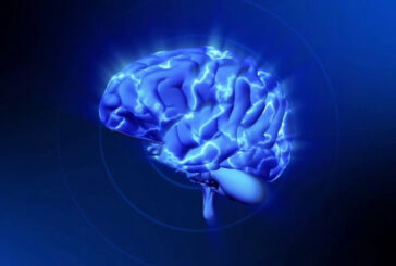 Scoperti i meccanismi cerebrali che causano l'indecisione