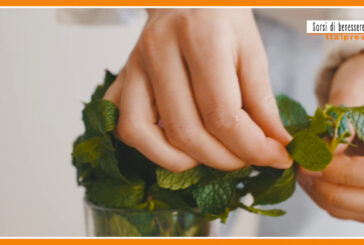 Sorsi di benessere – Timo e menta per una tisana alleata della gola