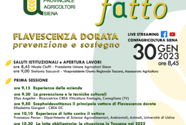 Confagricoltura Siena: appuntamento online sulla “Flavescenza dorata”