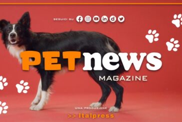 Nasce il Tg Pet dell'Italpress, nuovo magazine tv dedicato agli animali