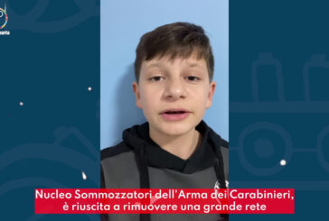 Stretto di Messina, salvati migliaia di pesci