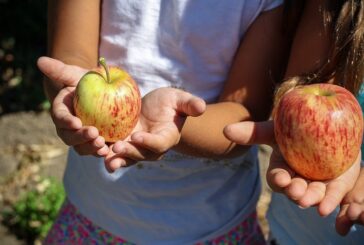 Gaiole: frutta a scuola per la Green Food Week