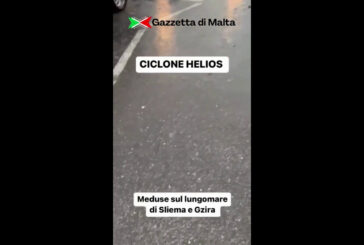 A Malta volano meduse sul lungomare, le immagini sorprendenti