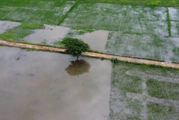 Clima, adesso si teme la siccità