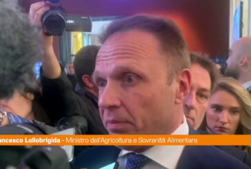 Regionali, Lollobrigida "Il centrodestra cresce"