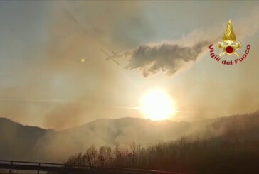 In fiamme un bosco in provincia di Isernia