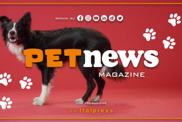 PetNews Magazine – 31/1/2023