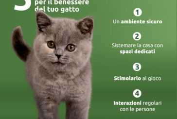 Ultima Petfood ed Enpa insieme in un progetto per gatti e cani