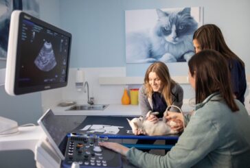 Cure veterinarie, AniCura inaugura una nuova sede a Bergamo