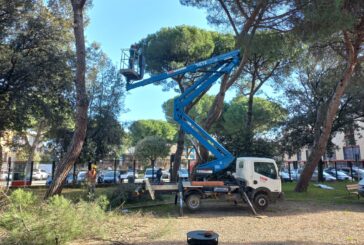 Avviata la potatura delle piante del Parco Norma Cossetto