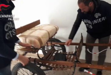 Corse di cavalli clandestine a Palermo, denunciato 28enne