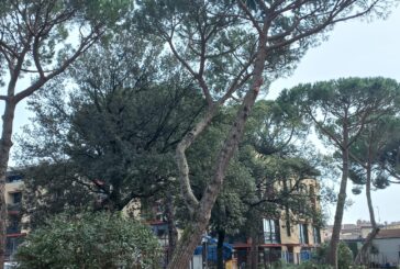 Riapre in sicurezza il parco Cossetto