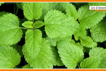 Sorsi di benessere – Una tisana rilassante che favorisce il sonno