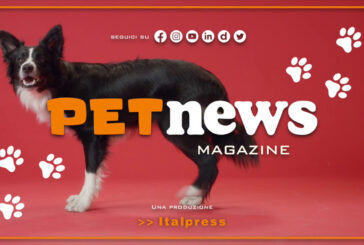 PetNews Magazine – 25/4/2023