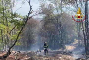 Vigili del fuoco impegnati in due incendi boschivi in Piemonte