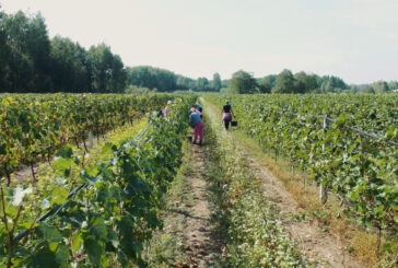 L'agriturismo vale 12,5 miliardi