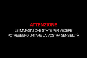 Salvataggi e naufragi nel Mediterraneo, le immagini dei soccorsi