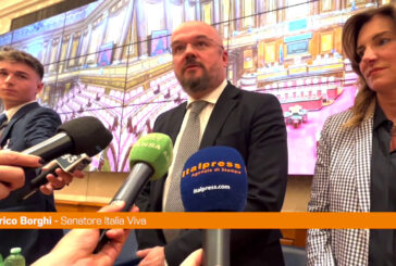 Italia Viva, Borghi "Dare voce a europeismo e riformismo"