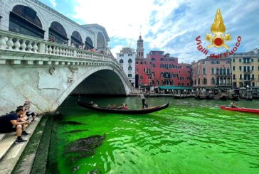 Chiazza verde nel Canal Grande a Venezia